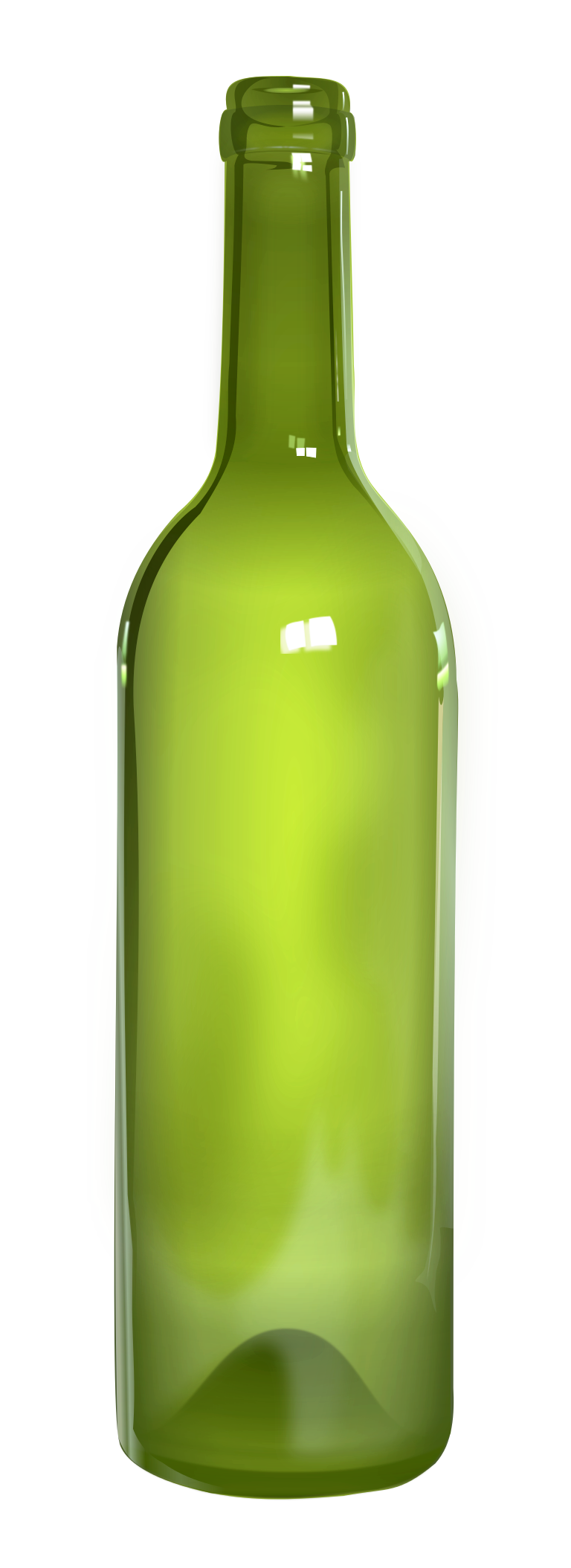 Bottle